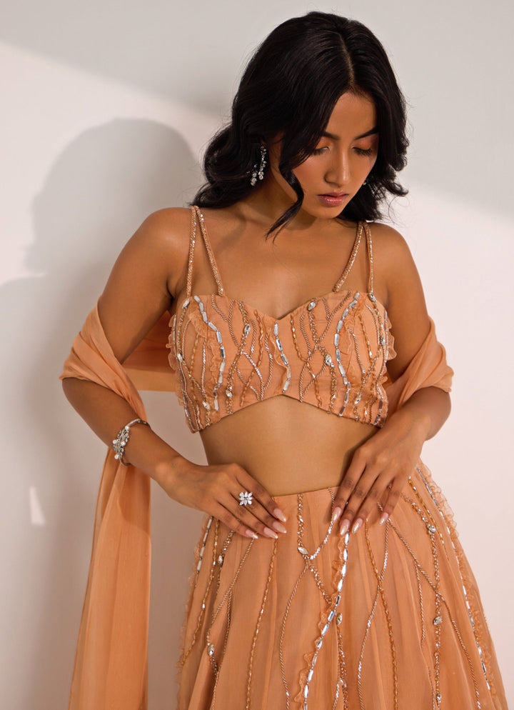 Rose Gold Embellished Organza Lehenga Set Silky Bindra - Fabilicious Fashion