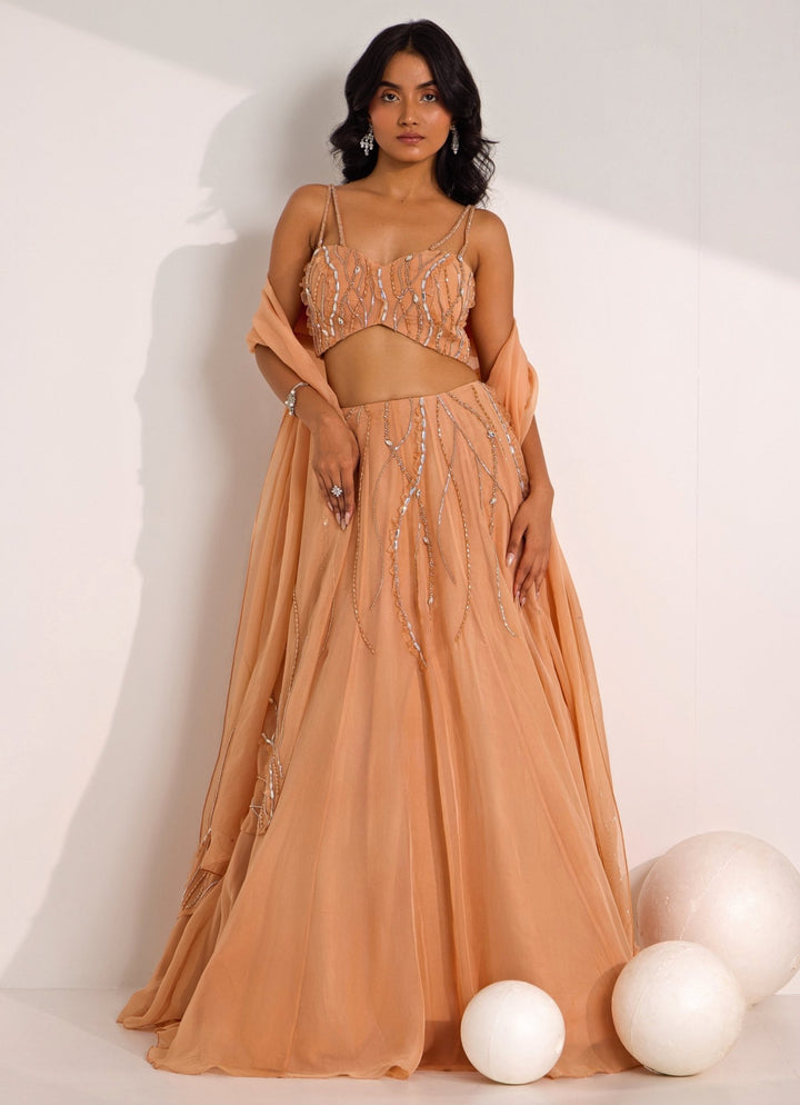 Rose Gold Embellished Organza Lehenga Set Silky Bindra - Fabilicious Fashion