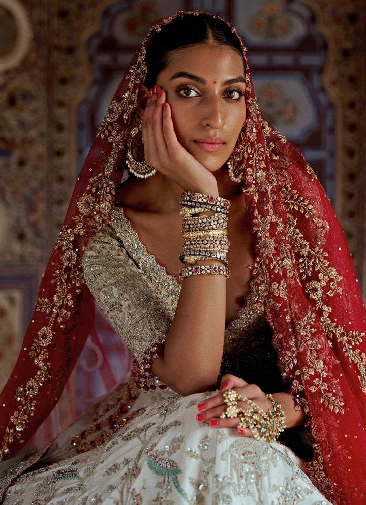 Silver Colour Tissue Embroidered Lehenga Nitika Gujral - Fabilicious Fashion