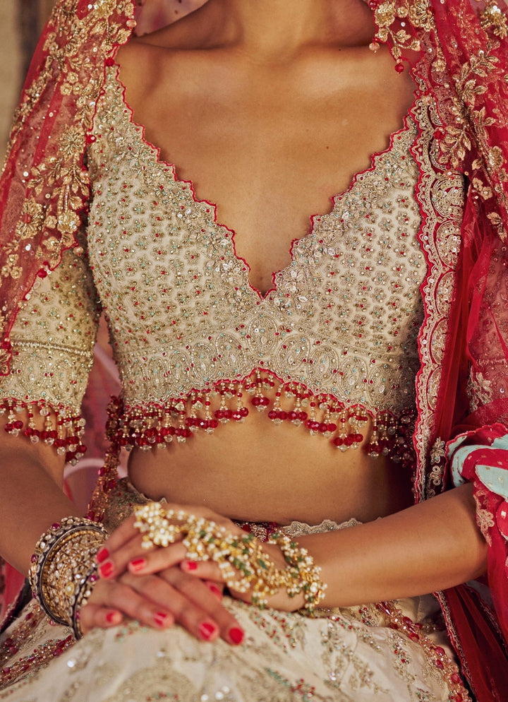 Silver Colour Tissue Embroidered Lehenga Nitika Gujral - Fabilicious Fashion