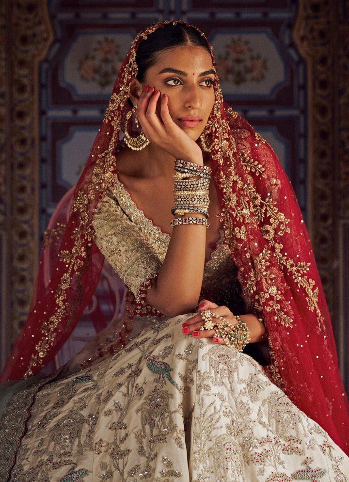 Silver Colour Tissue Embroidered Lehenga Nitika Gujral - Fabilicious Fashion