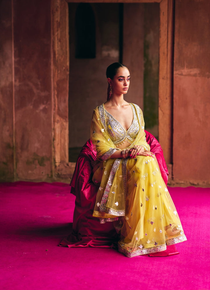 Yellow And Silver Mirrorwork And Gota Net Saree Angad Singh - Fabilicious Fashion