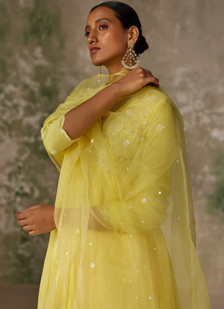 Yellow Embroidered Kurta Pant Zoon Tribe - Fabilicious Fashion