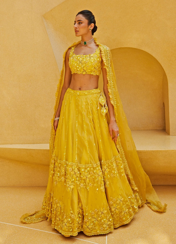 Yellow Embroidered Organza Lehenga Set Prevasu - Fabilicious Fashion