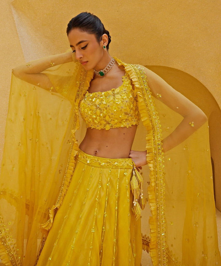 Yellow Embroidered Organza Lehenga Set Prevasu - Fabilicious Fashion