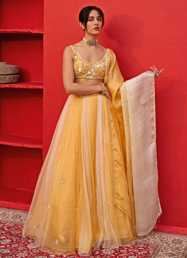 Yellow Ombre Embroidered Silk Organza Lehenga Zoon Tribe - Fabilicious Fashion