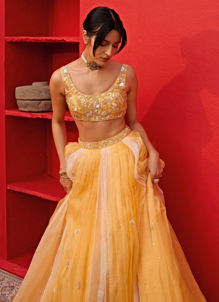 Yellow Ombre Embroidered Silk Organza Lehenga Zoon Tribe - Fabilicious Fashion