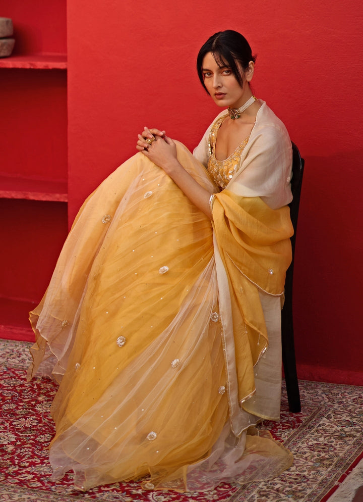 Yellow Ombre Embroidered Silk Organza Lehenga Zoon Tribe - Fabilicious Fashion