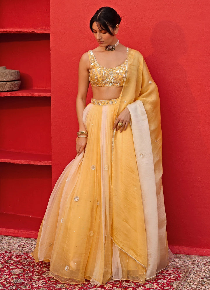 Yellow Ombre Embroidered Silk Organza Lehenga Zoon Tribe - Fabilicious Fashion