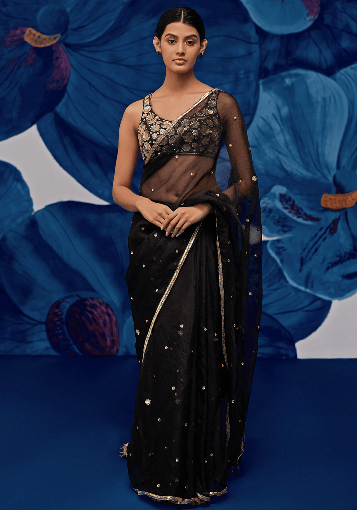 Black And Gold Silk Organza Embroidered Saree Set Zoon Tribe - Fabilicious Fashion