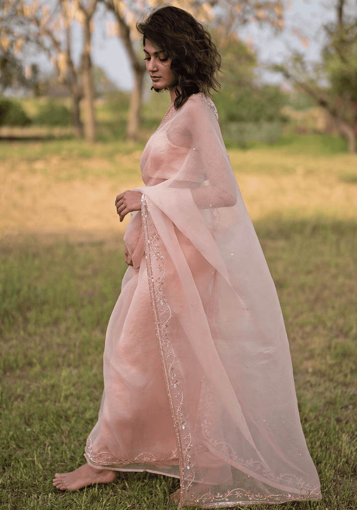 Blush Pink Embroidered Saree Set Zoon Tribe - Fabilicious Fashion