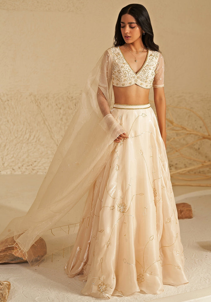 Ivory And Gold Metallic Organza Lehenga Set Zoon Tribe - Fabilicious Fashion