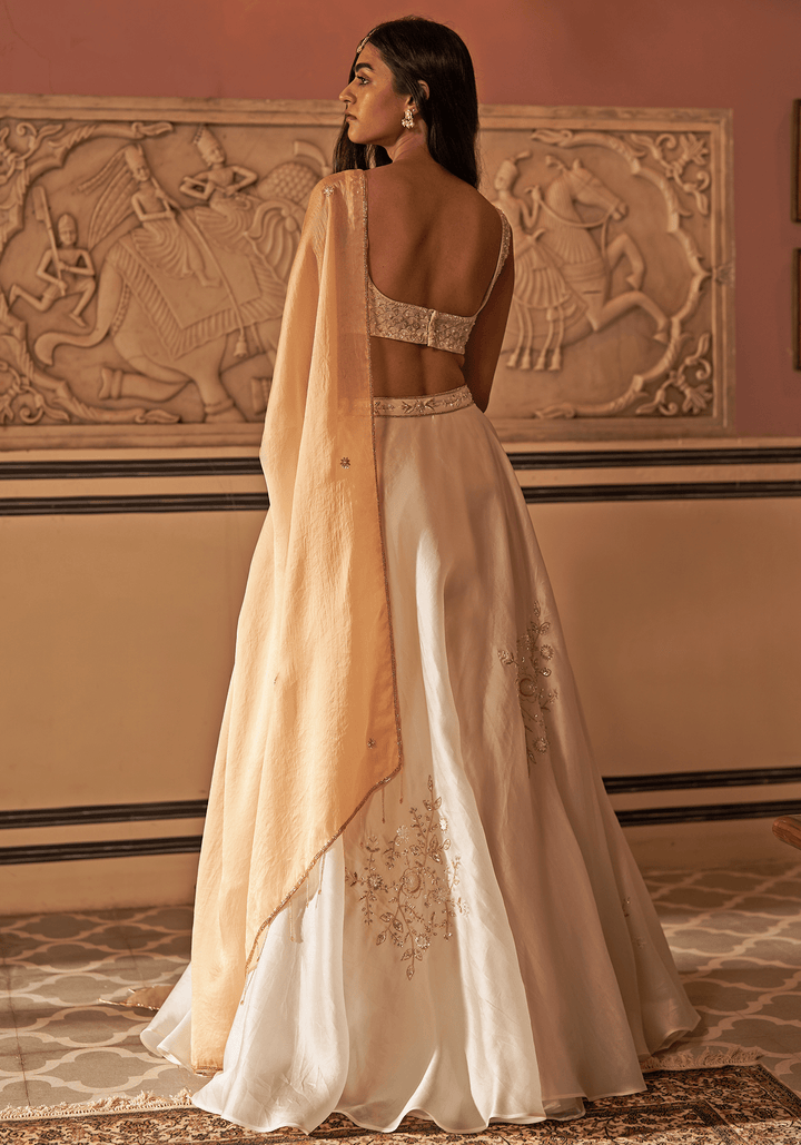 Ivory And Gold Organza Lehenga Set Zoon Tribe - Fabilicious Fashion