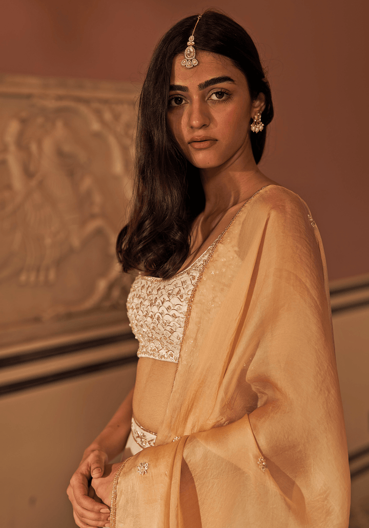 Ivory And Gold Organza Lehenga Set Zoon Tribe - Fabilicious Fashion
