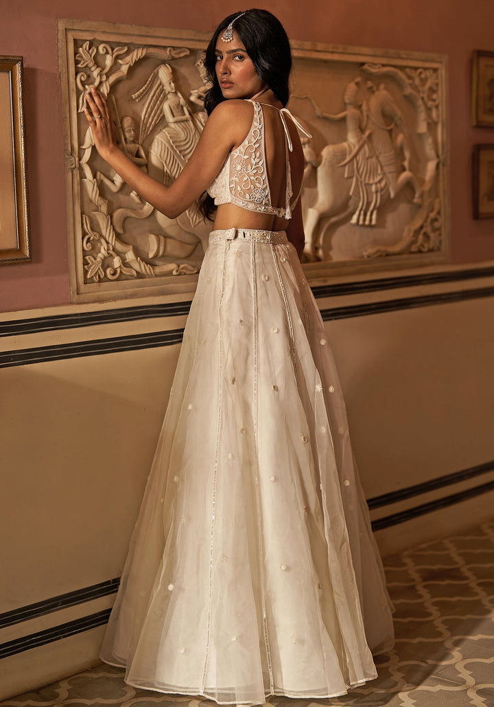 Off-White Silk Organza Embroidered Lehenga Set Zoon Tribe - Fabilicious Fashion