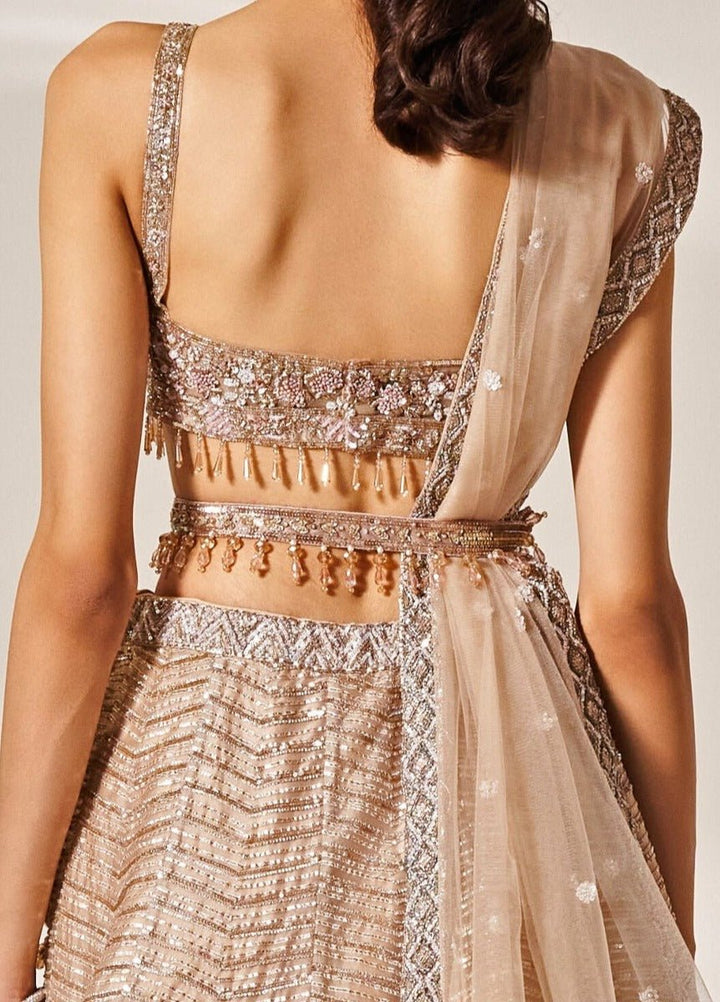 Pale Pink Embroidered Organza Lehenga Set Studio Iris - Fabilicious Fashion