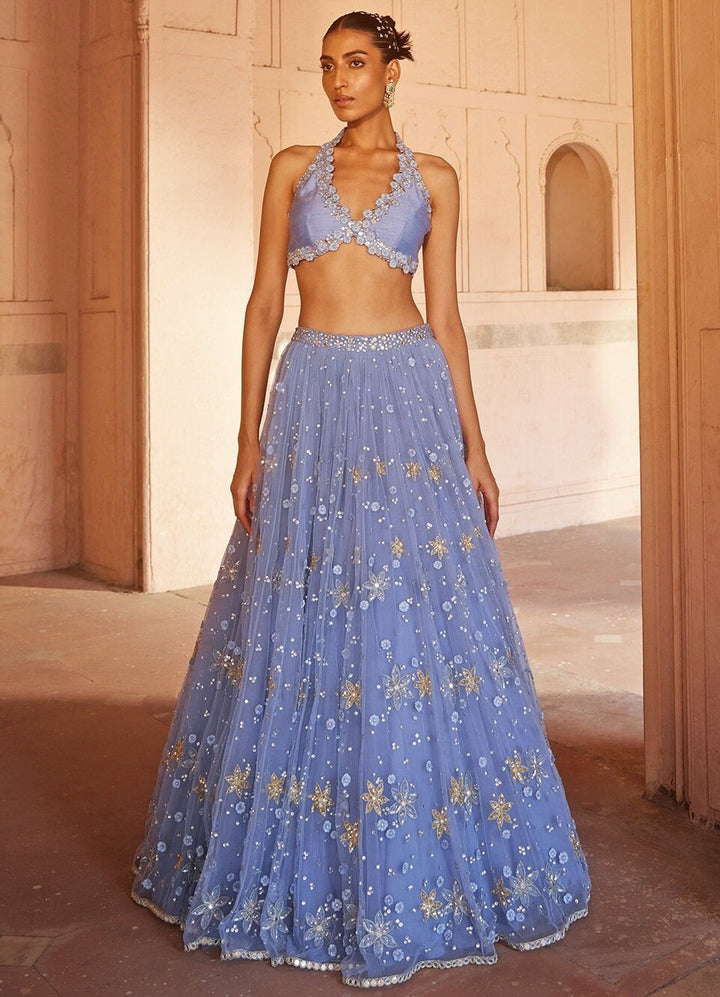 Powder Blue Applique Embellished Net Lehenga Set With Silk Halter Blouse Prevasu - Fabilicious Fashion
