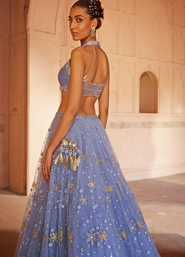Powder Blue Applique Embellished Net Lehenga Set With Silk Halter Blouse Prevasu - Fabilicious Fashion