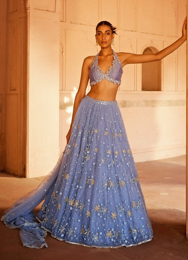 Powder Blue Applique Embellished Net Lehenga Set With Silk Halter Blouse Prevasu - Fabilicious Fashion