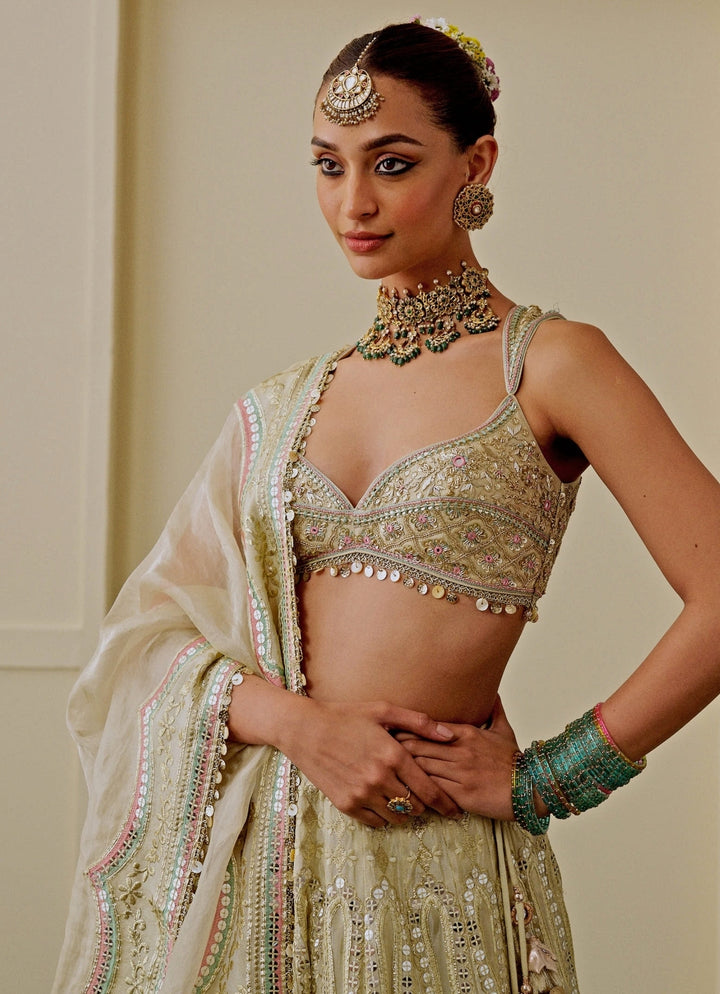 Muted Gold Tissue Bridal Lehenga Set