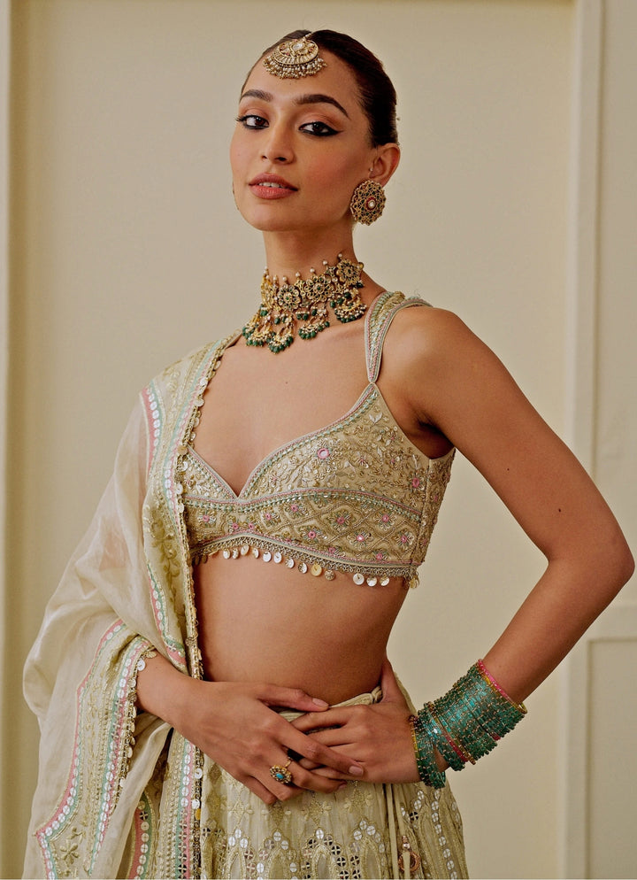 Muted Gold Tissue Bridal Lehenga Set