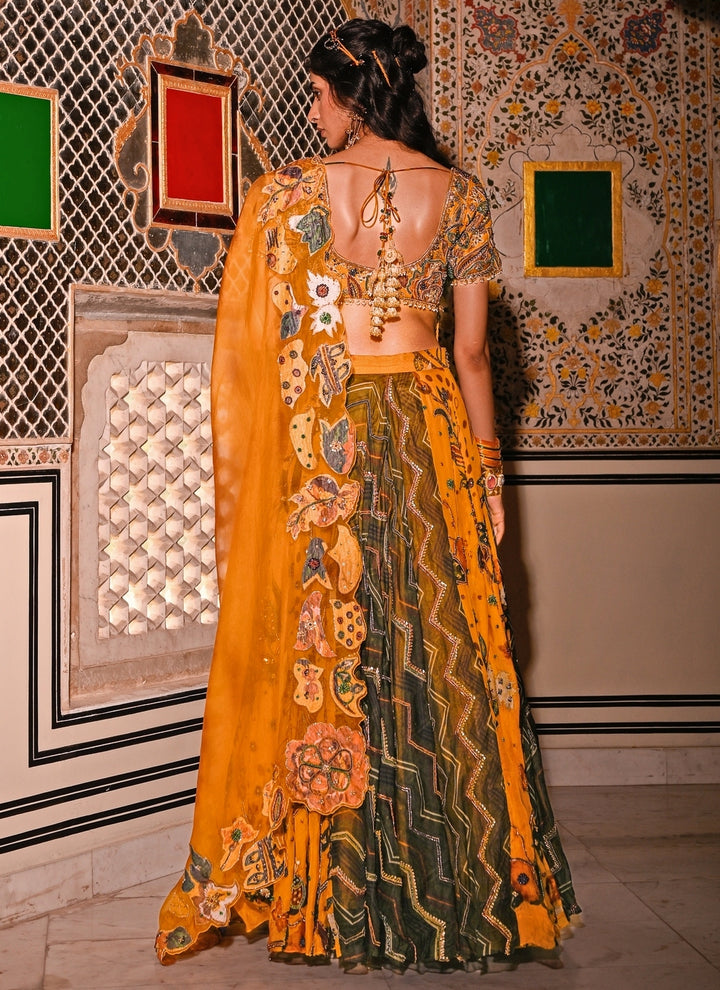 Dual Tone Printed Organza Lehenga Set