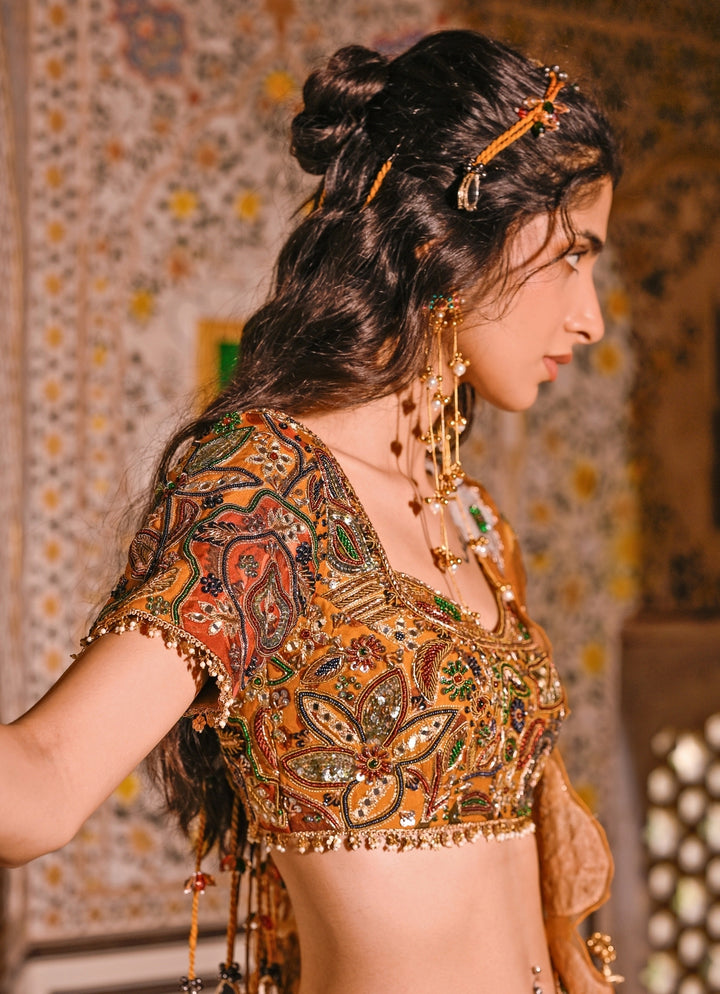 Dual Tone Printed Organza Lehenga Set