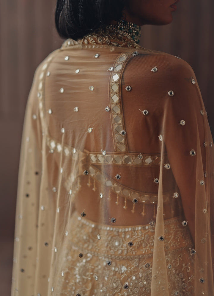 Beige Gold Soft Net Mirror Lehenga