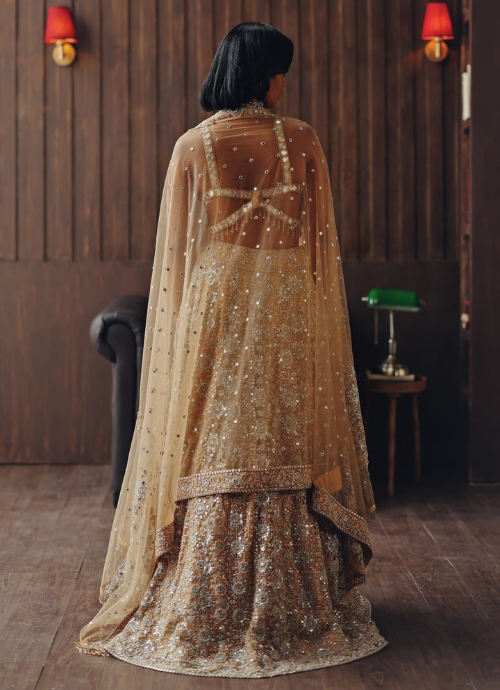 Beige Gold Soft Net Mirror Lehenga