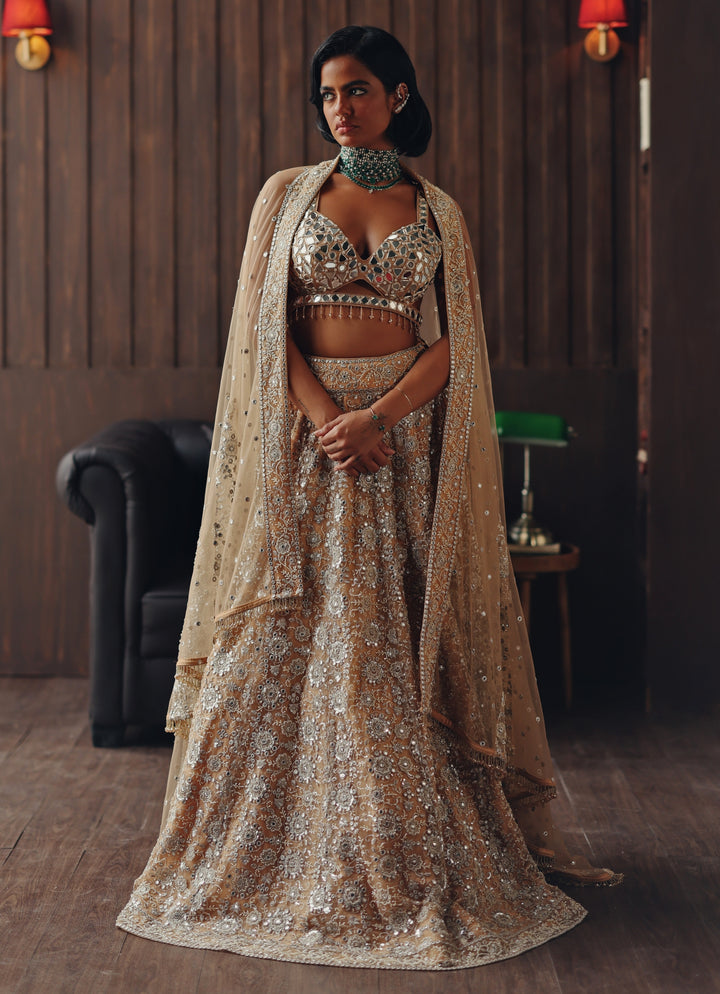 Beige Gold Soft Net Mirror Lehenga