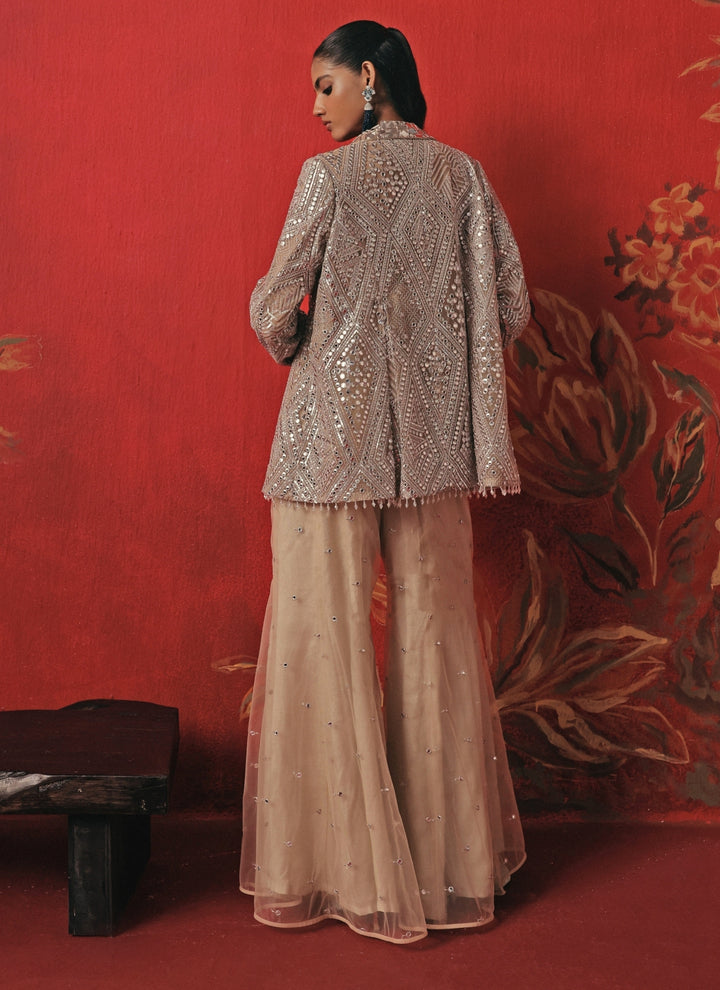 Nude And Silver Soft Net Blouse Sharara Set