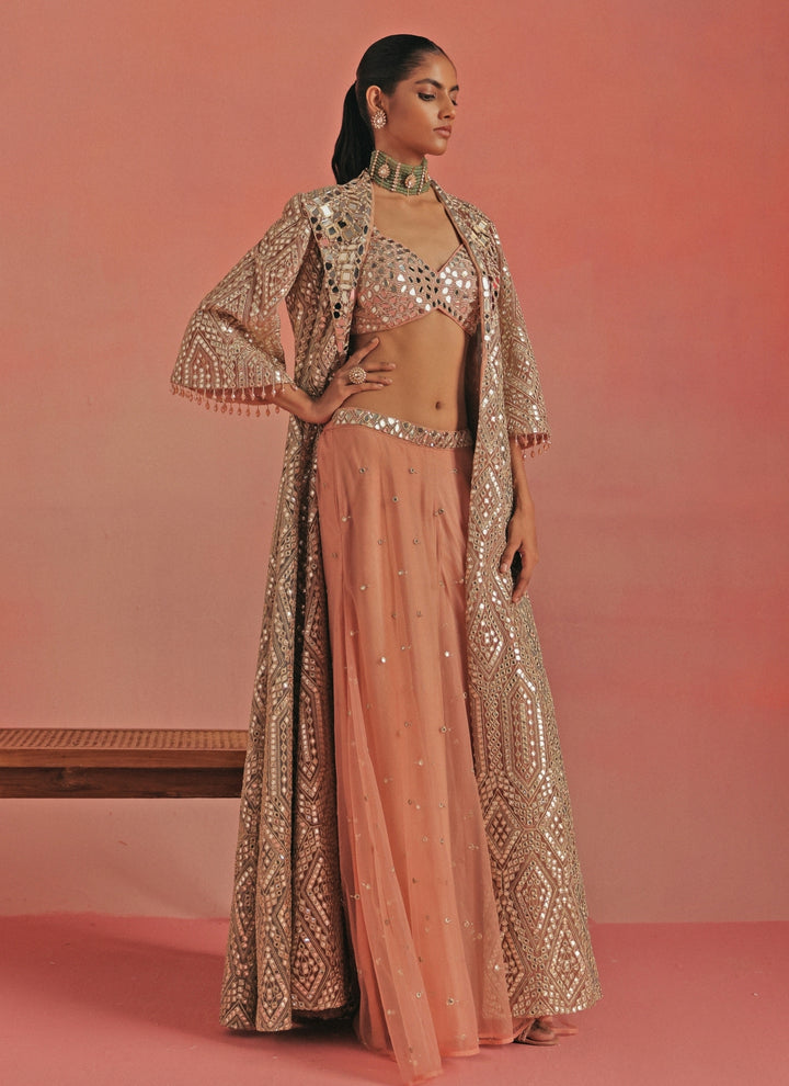 Pink And Blue Soft Net Mirrorwork Anarkali Jacket Set