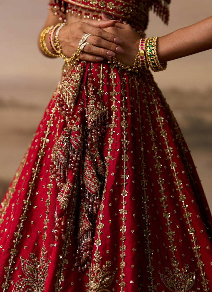 Deep Red Raw Silk Double Dupatta Lehenga Set