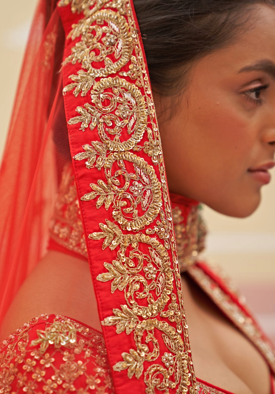 Royal Red Silk Linear Embroidered Red Bridal Lehenga