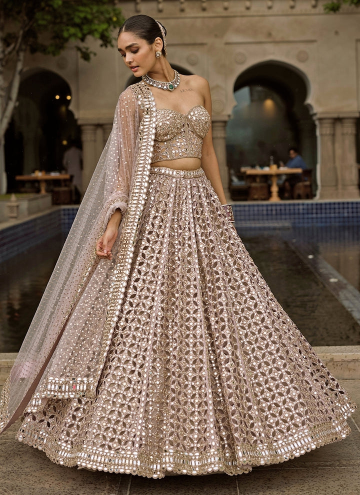 Ash Pink Georgette Corset Lehenga