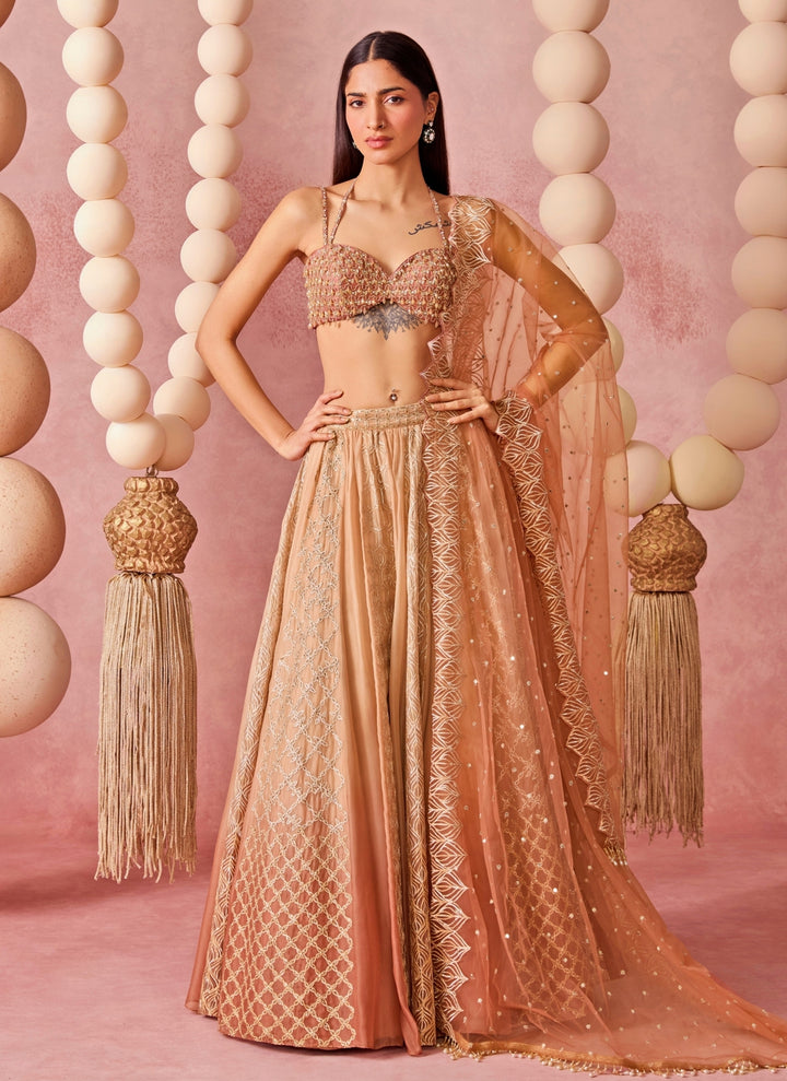 Beige Shaded Organza Lehenga Set