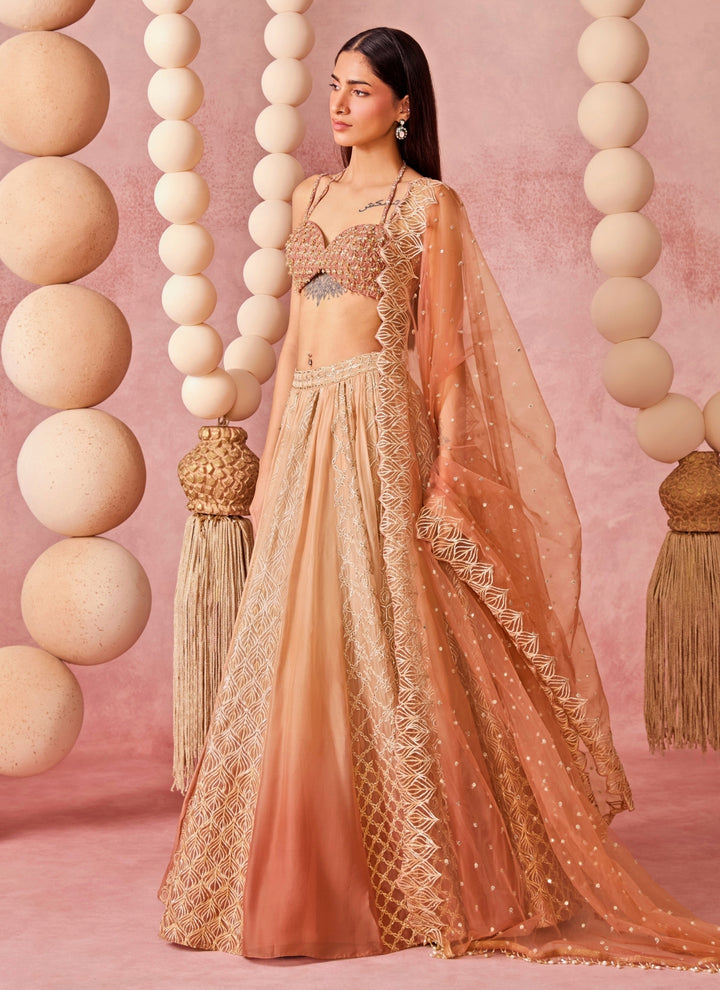 Beige Shaded Organza Lehenga Set