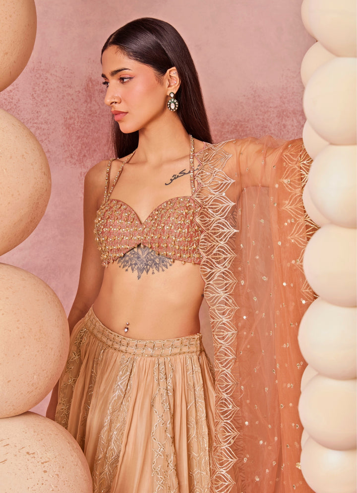 Beige Shaded Organza Lehenga Set