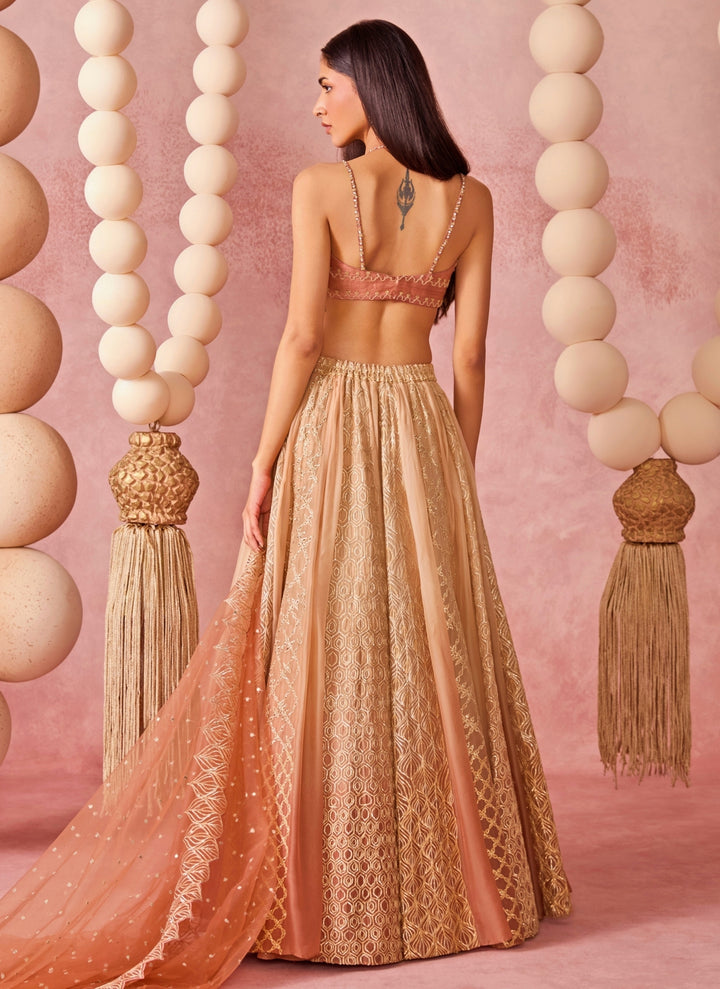 Beige Shaded Organza Lehenga Set