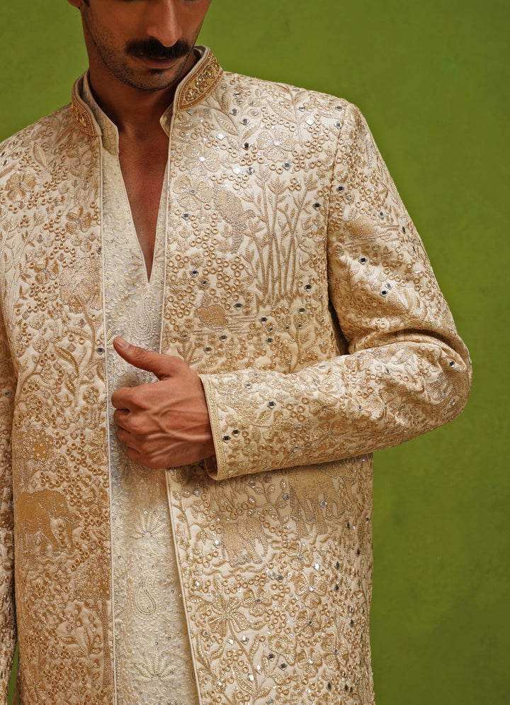 Ivory and Gold Georgette Jodhpuri Set
