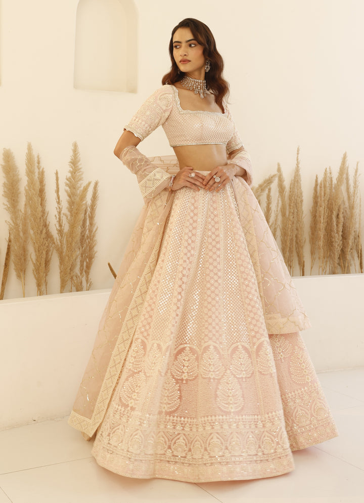 Blush Pink Chikankari Lehenga Set
