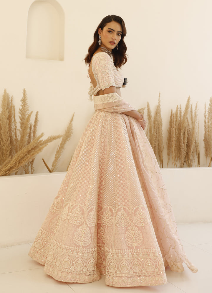 Blush Pink Chikankari Lehenga Set