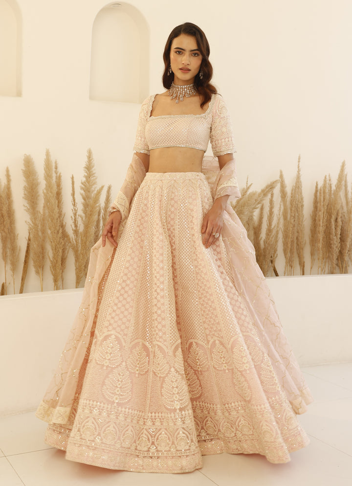 Blush Pink Chikankari Lehenga Set