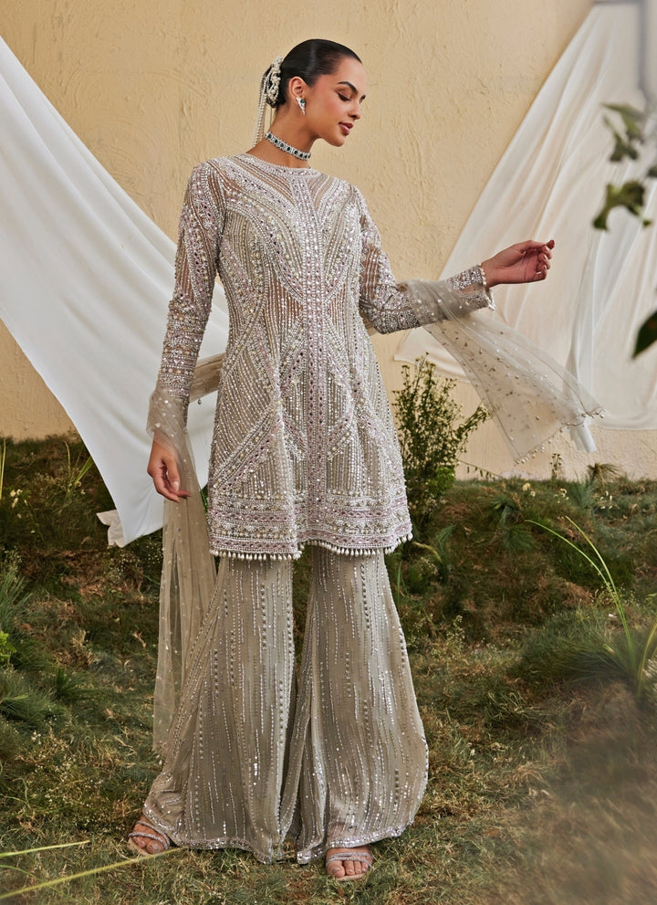 Silver Grey Soft Net Kurta Sharara Set