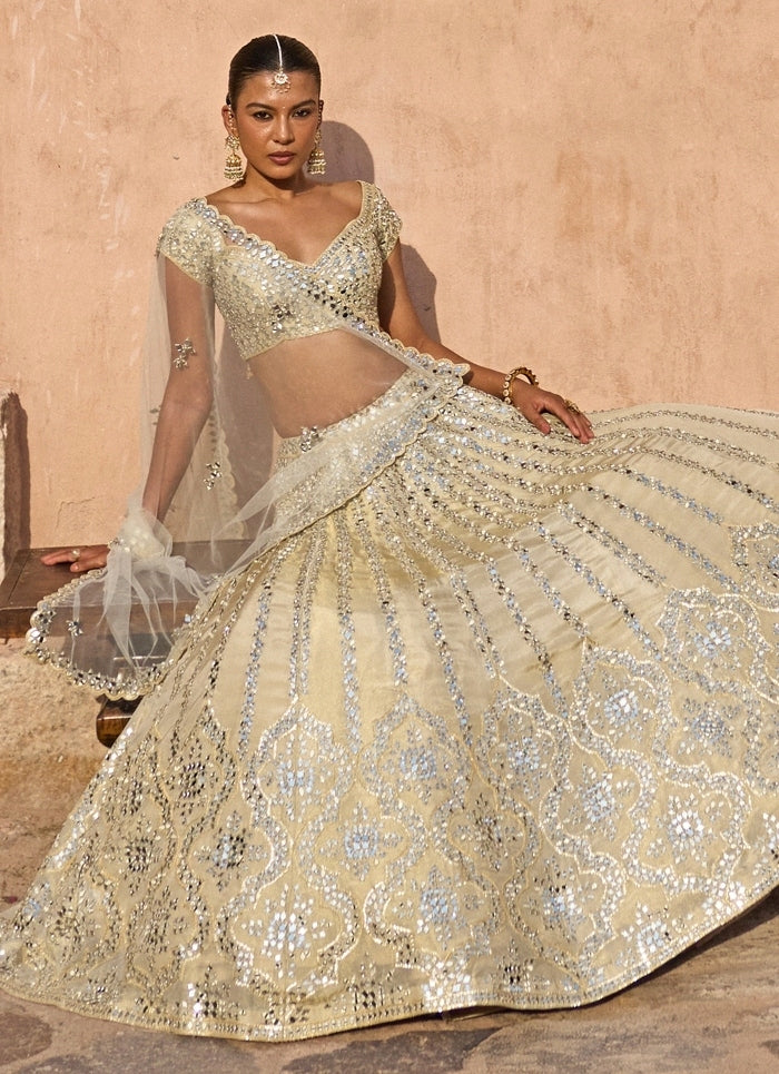 Gold Tissue Lehenga Set