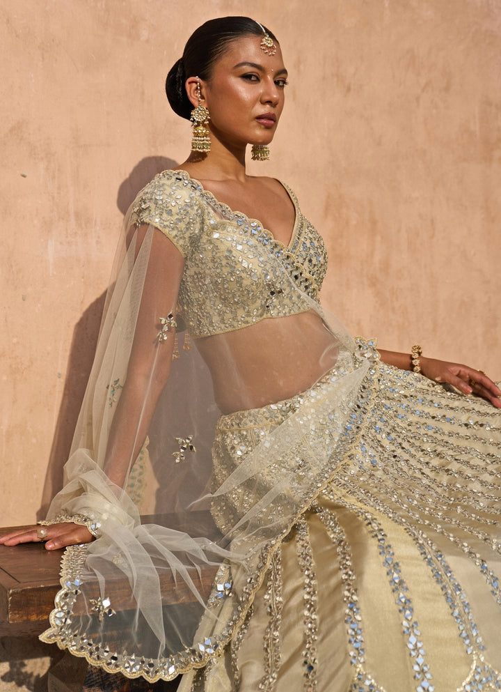 Gold Tissue Lehenga Set