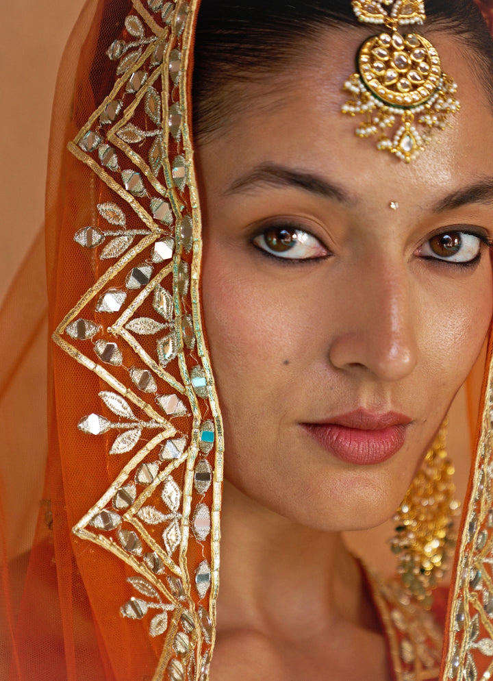 Rust Orange Organza Lehenga Set