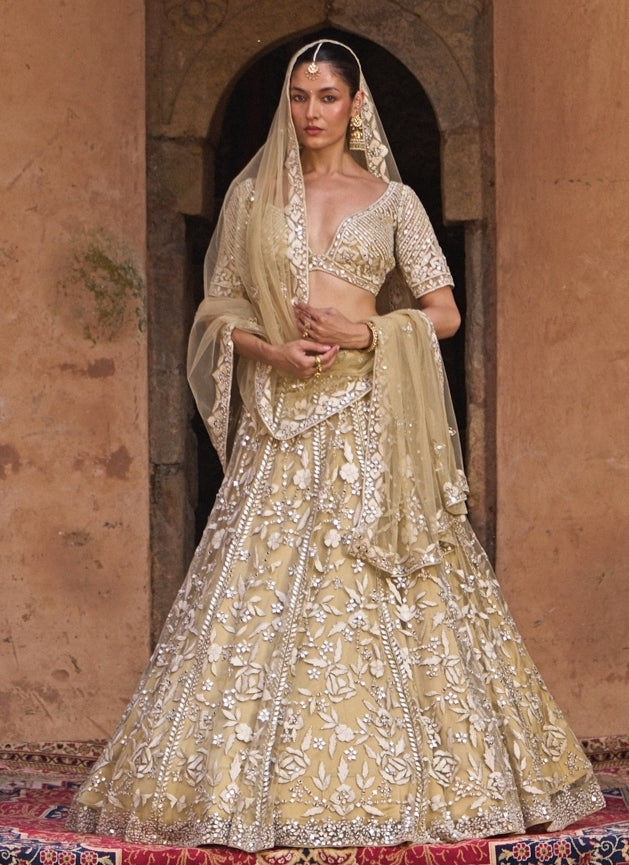 Beige Gold Soft Net Lehenga Set