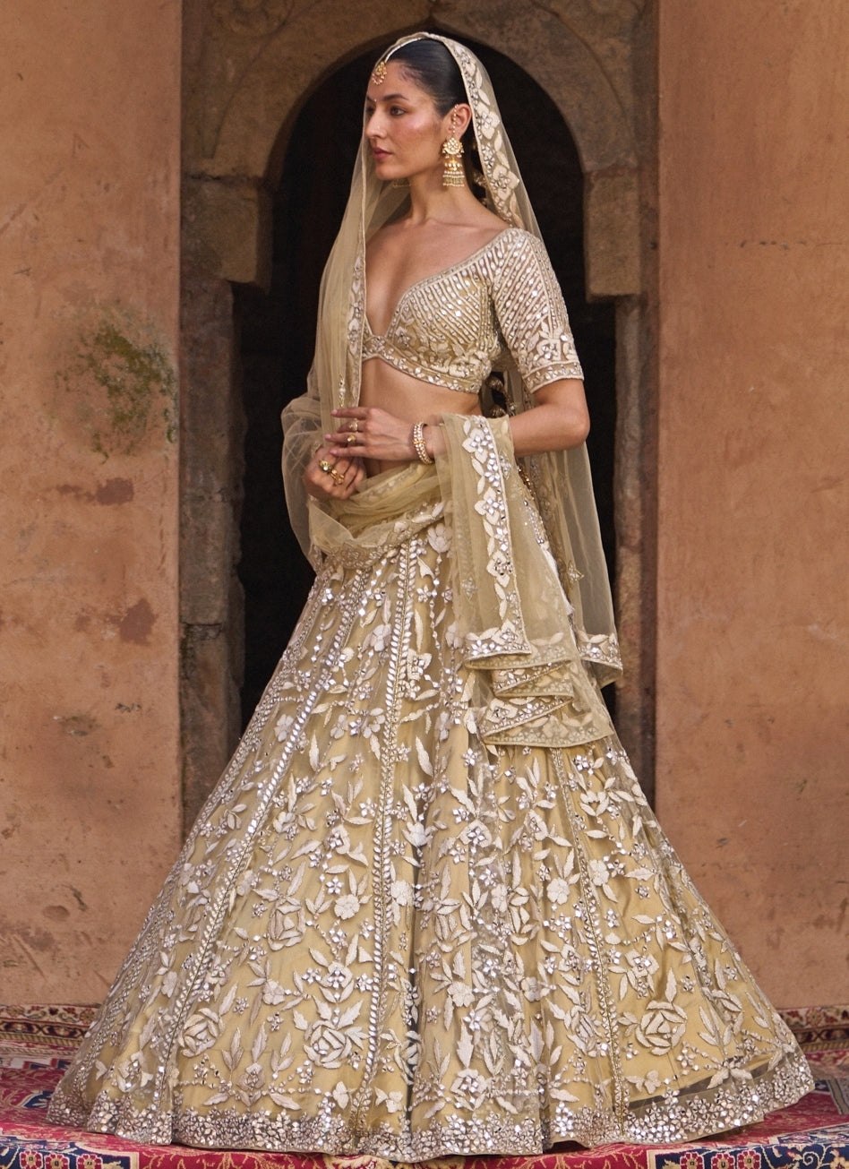 Beige Gold Soft Net Lehenga Set