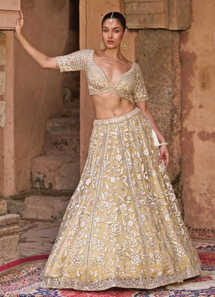 Beige Gold Soft Net Lehenga Set